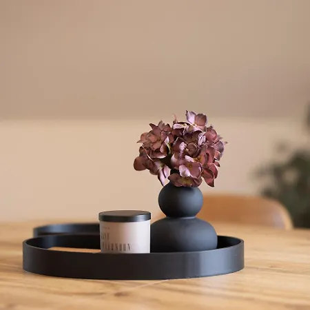 Manuel * Горни-Плана