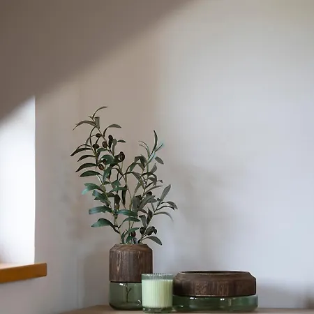 Manuel Appartement Horní Planá