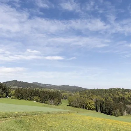 Апартаменты Manuel *