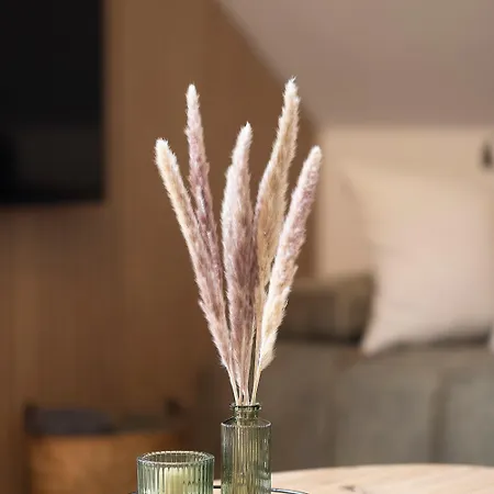 Manuel Горни-Плана