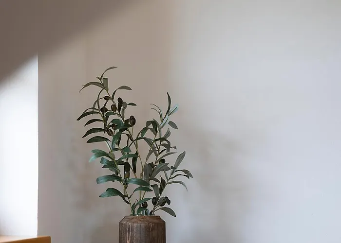 Manuel Apartman Horní Planá